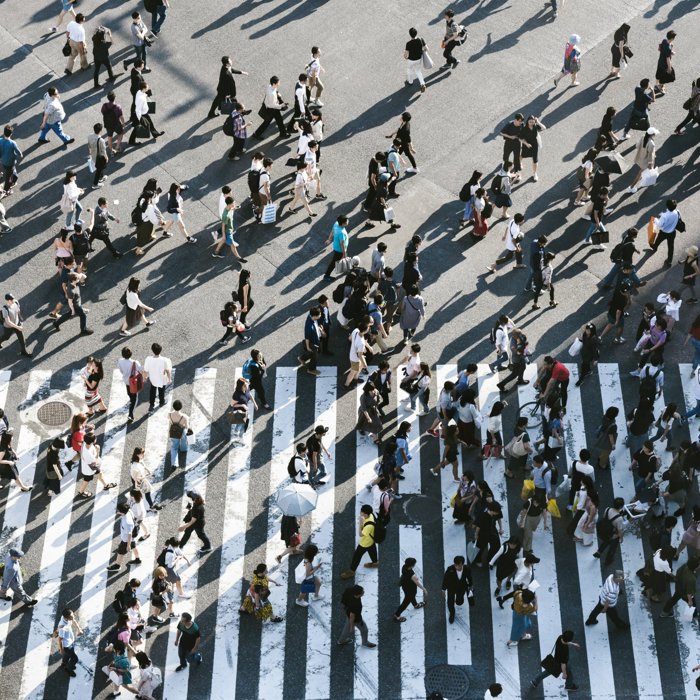 MMU and UCLG Invite Municipalities to Support the “Human Rights Cities and Territories” Campaign