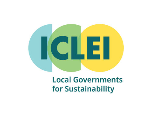 ICLEI Cinsiyet Eşitliği Webinarı 16 Eylül’de Gerçekleşecek