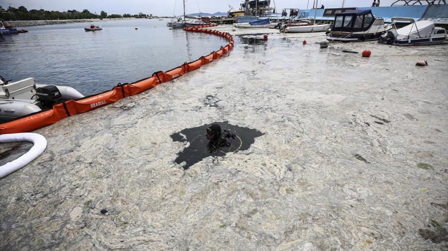 Türkiye’nin Büyük Deniz Temizliği Hareketi Başladı}