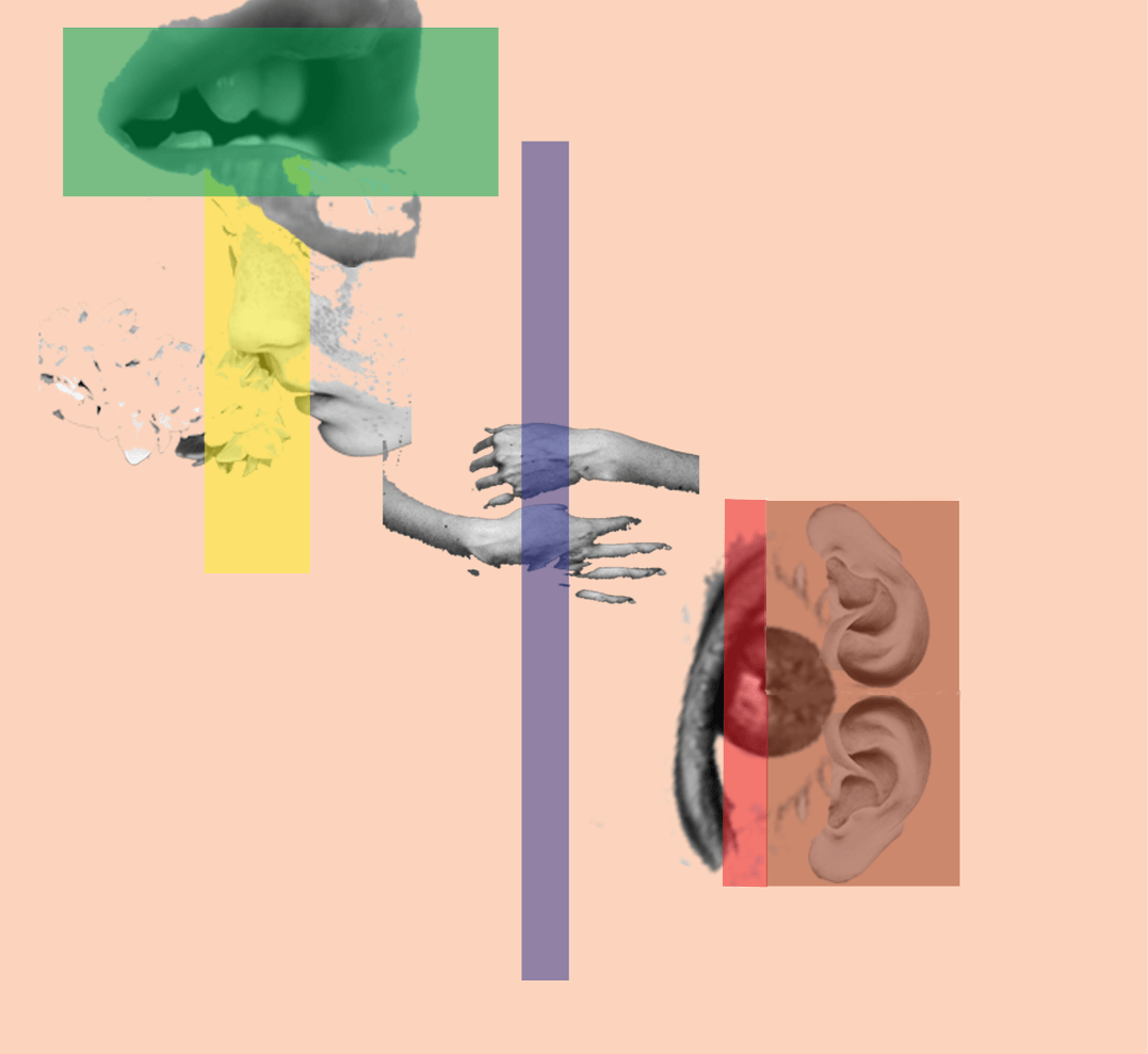A Metropolis in 5 Senses}